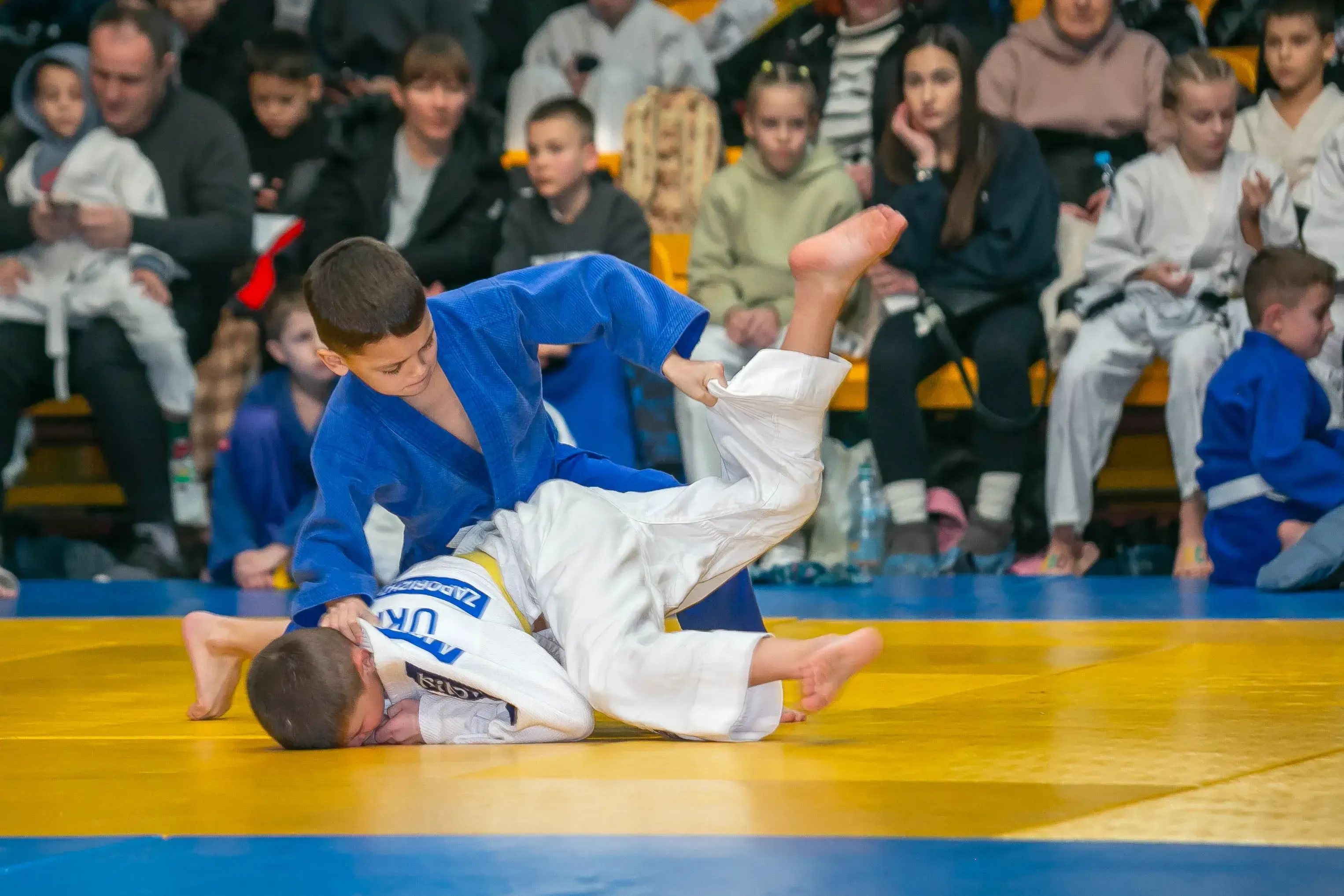 Дзюдоїсти 2010-2017 р.н. у боротьбі за золото