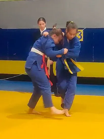 Тур - III "Південна ліга" дзюдо дівчата 2013-2014